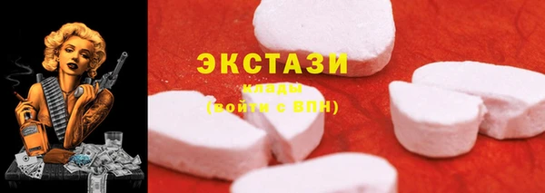 гидропоника Горняк