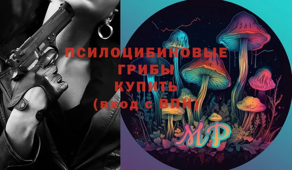гидропоника Горняк